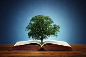 Invest in knowledge