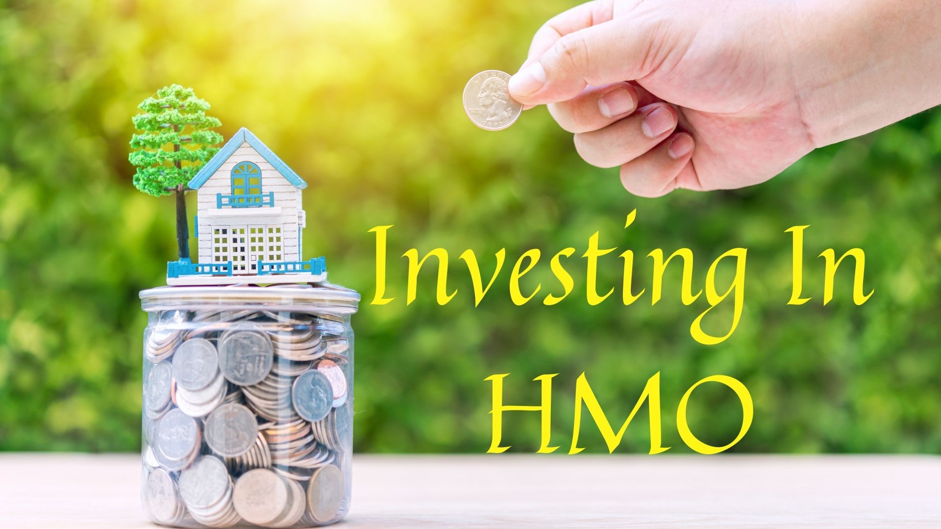 hmo-finance