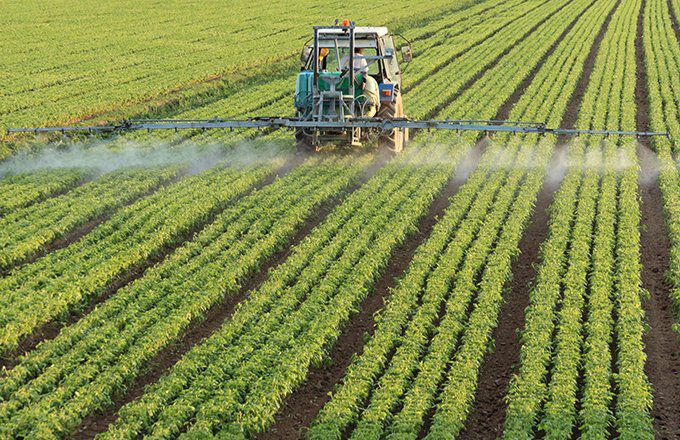 Expanding Your Investment Portfolio with Agriculture